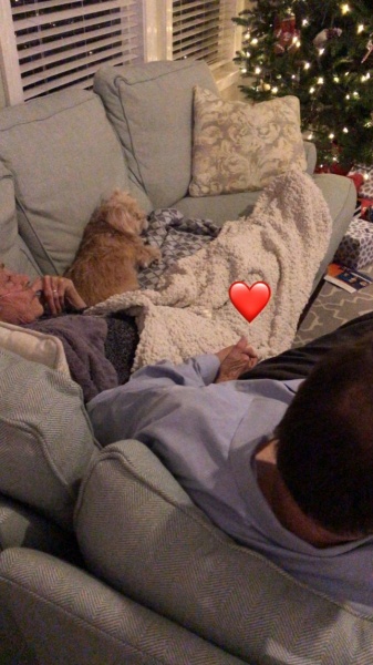 xmas_8.jpg