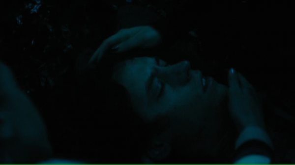 vlcsnap-00715.png