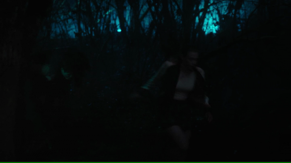 vlcsnap-00783.png