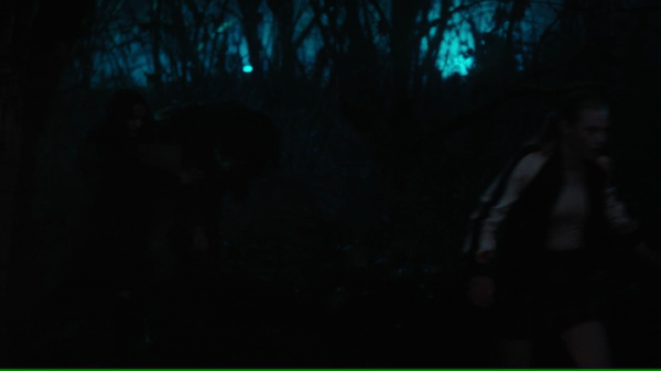 vlcsnap-00784.png