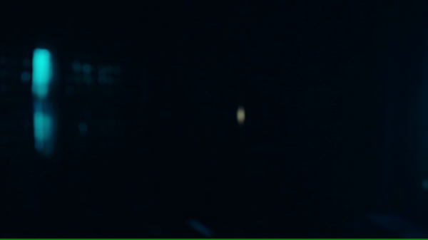 vlcsnap-01755.png