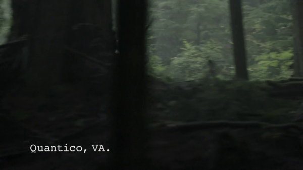 vlcsnap-00789.png