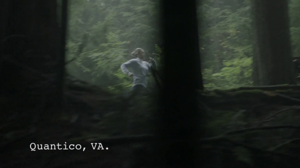 vlcsnap-00790.png