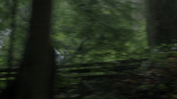 vlcsnap-00801.png