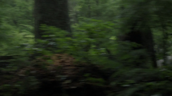 vlcsnap-00803.png