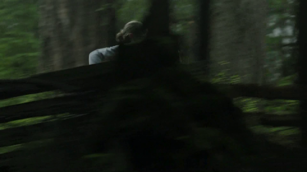 vlcsnap-00806.png