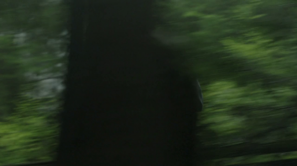 vlcsnap-00809.png