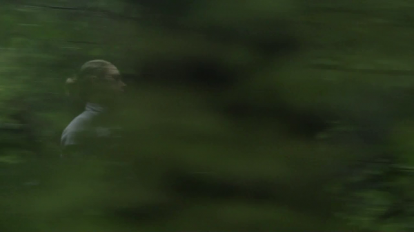 vlcsnap-00813.png