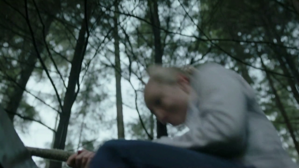 vlcsnap-00830.png