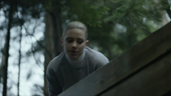 vlcsnap-00832.png