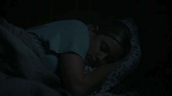 vlcsnap-01104.png