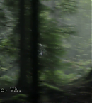 Filename=vlcsnap-00781.png
Filesize=608KiB
Dimensions=1280x720
Date added=Feb 11, 2021 vlcsnap-00781.png