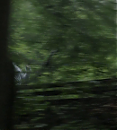 vlcsnap-00801.png