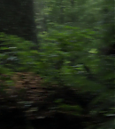 vlcsnap-00803.png