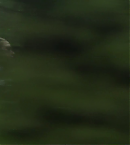 vlcsnap-00813.png