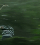 Filename=vlcsnap-00815.png
Filesize=443KiB
Dimensions=1280x720
Date added=Feb 11, 2021 vlcsnap-00815.png
