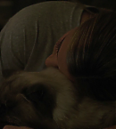 vlcsnap-01194.png