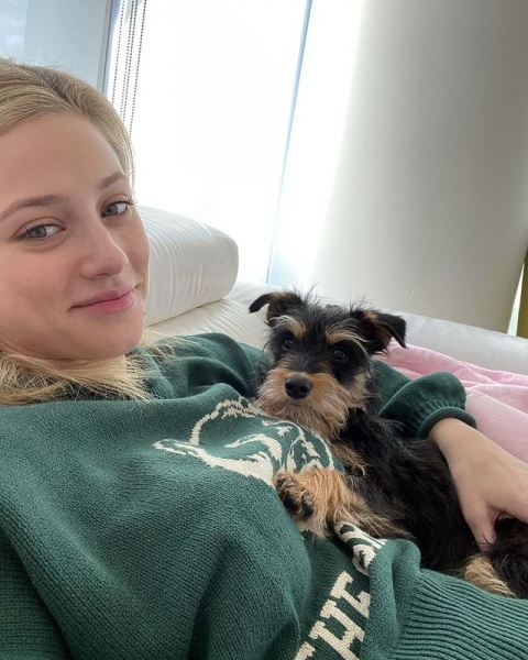 2021.02.12.
@lilireinhart: Egy évvel ezelőtt hazahoztam magammal Milo-t ... és a fenébe, megütöttem a főnyereményt. Az én édes, kicsi mentett kiskutyám egy elképesztő szeretetforrás nekem ebben az évben és alig várom, hogy még több emléket szerezzek ezzel a kis fickóval.
