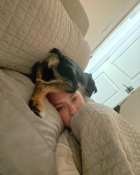 2021.02.12.
@lilireinhart: Egy évvel ezelőtt hazahoztam magammal Milo-t ... és a fenébe, megütöttem a főnyereményt. Az én édes, kicsi mentett kiskutyám egy elképesztő szeretetforrás nekem ebben az évben és alig várom, hogy még több emléket szerezzek ezzel a kis fickóval.
