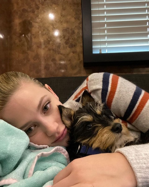 2021.02.12.
@lilireinhart: Egy évvel ezelőtt hazahoztam magammal Milo-t ... és a fenébe, megütöttem a főnyereményt. Az én édes, kicsi mentett kiskutyám egy elképesztő szeretetforrás nekem ebben az évben és alig várom, hogy még több emléket szerezzek ezzel a kis fickóval.
