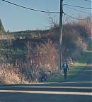 vlcsnap-00444.png