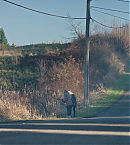 vlcsnap-00450.png
