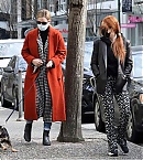 bgus_2084684_017.jpg