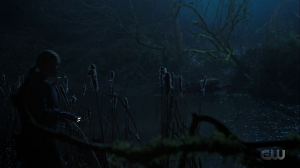 vlcsnap-00375.png
