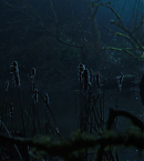 vlcsnap-00376.png