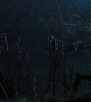 vlcsnap-00412.png