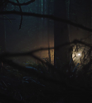 vlcsnap-00867.png