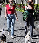 Filename=madelaine-4.jpg
Filesize=4757KiB
Dimensions=2333x3500
Date added=Apr 18, 2021 madelaine-4.jpg