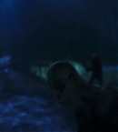vlcsnap-00993.png