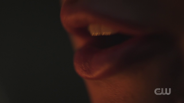 vlcsnap-01623.png