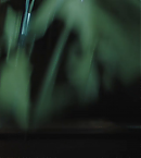 vlcsnap-01081.png