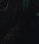 vlcsnap-01736.png