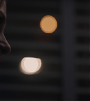 vlcsnap-01101.png