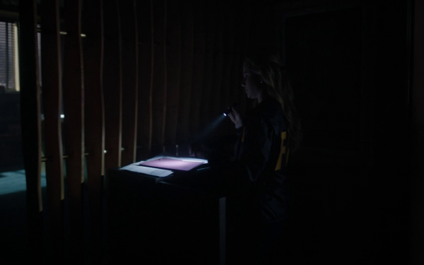 vlcsnap-01423.png