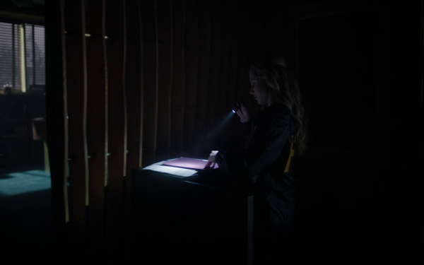 vlcsnap-01424.png