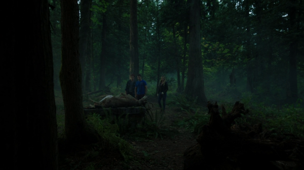 vlcsnap-00211.png