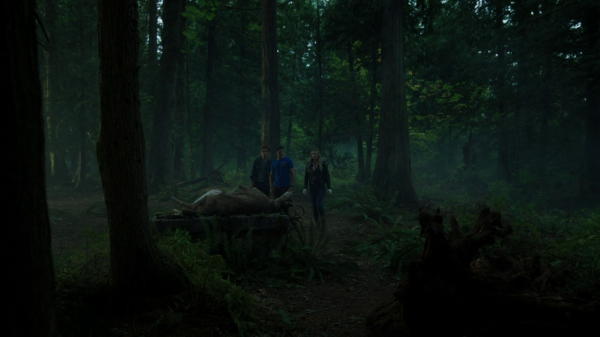 vlcsnap-00213.png