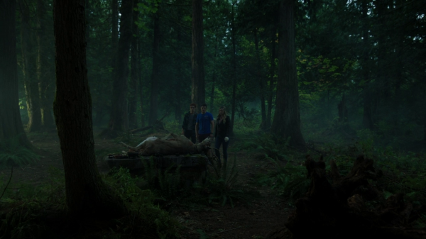vlcsnap-00215.png