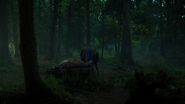 vlcsnap-00216.png