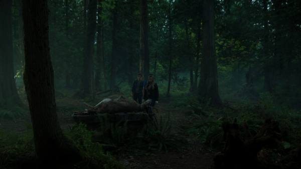 vlcsnap-00217.png