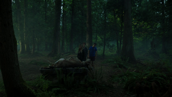 vlcsnap-00221.png