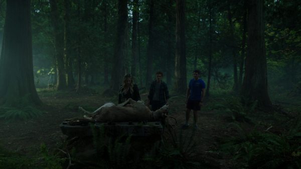 vlcsnap-00229.png