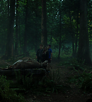 vlcsnap-00218.png