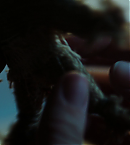 Filename=vlcsnap-00918.png
Filesize=743KiB
Dimensions=1280x720
Date added=Dec 02, 2021 vlcsnap-00918.png