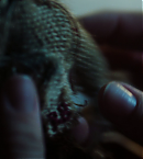 Filename=vlcsnap-00920.png
Filesize=811KiB
Dimensions=1280x720
Date added=Dec 02, 2021 vlcsnap-00920.png