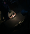 Filename=vlcsnap-00702.png
Filesize=498KiB
Dimensions=1280x720
Date added=Dec 21, 2021 vlcsnap-00702.png